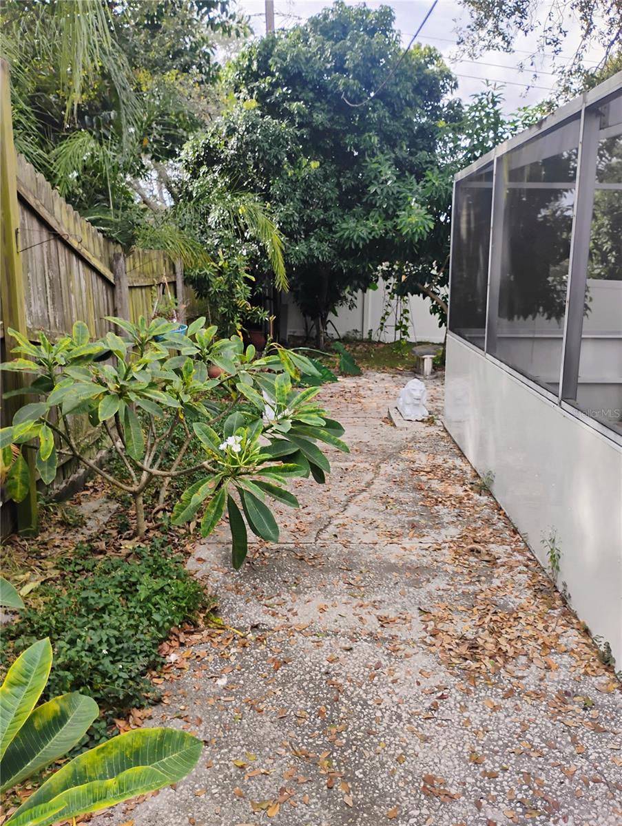 Image 29 of 33 For 4515 Orangewood Loop E