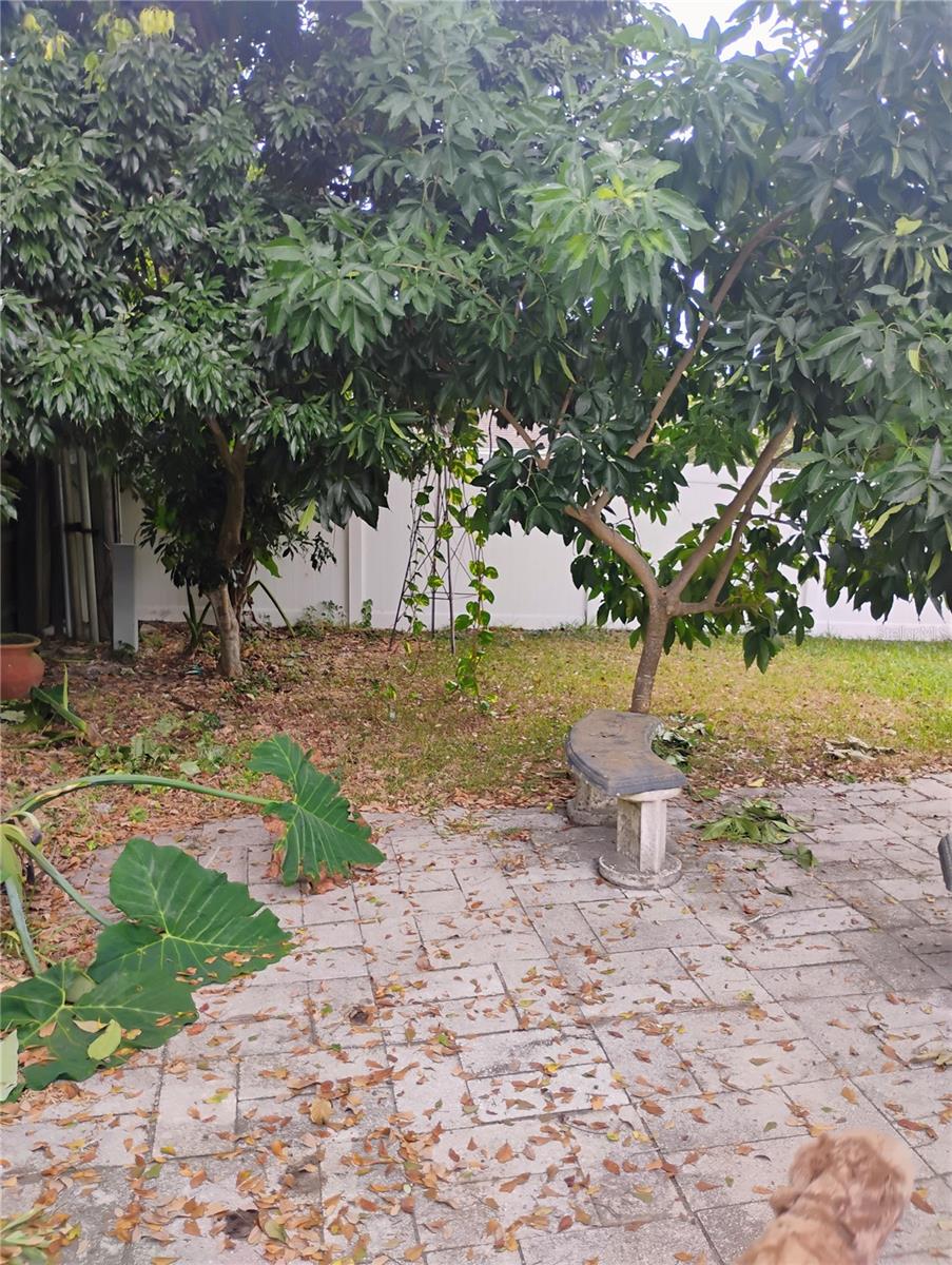 Image 31 of 33 For 4515 Orangewood Loop E