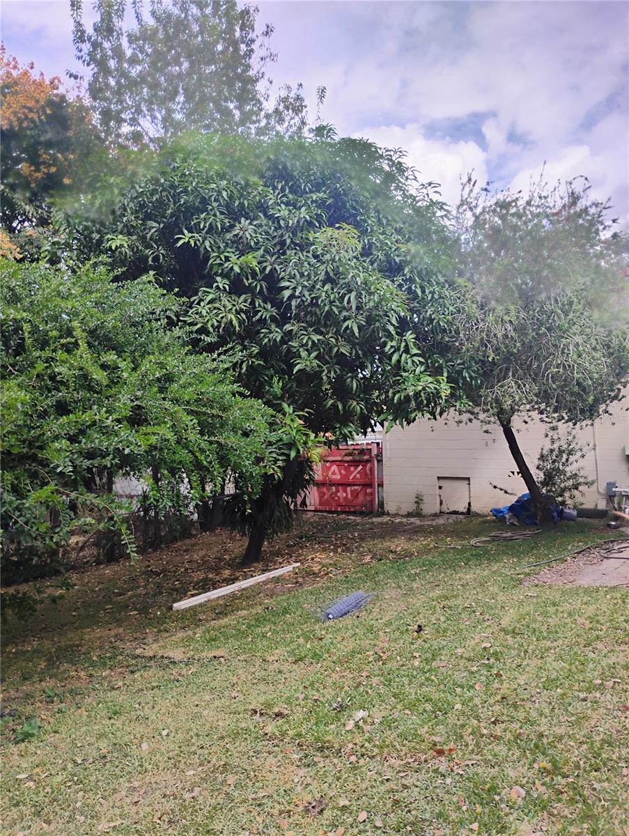 Image 32 of 33 For 4515 Orangewood Loop E