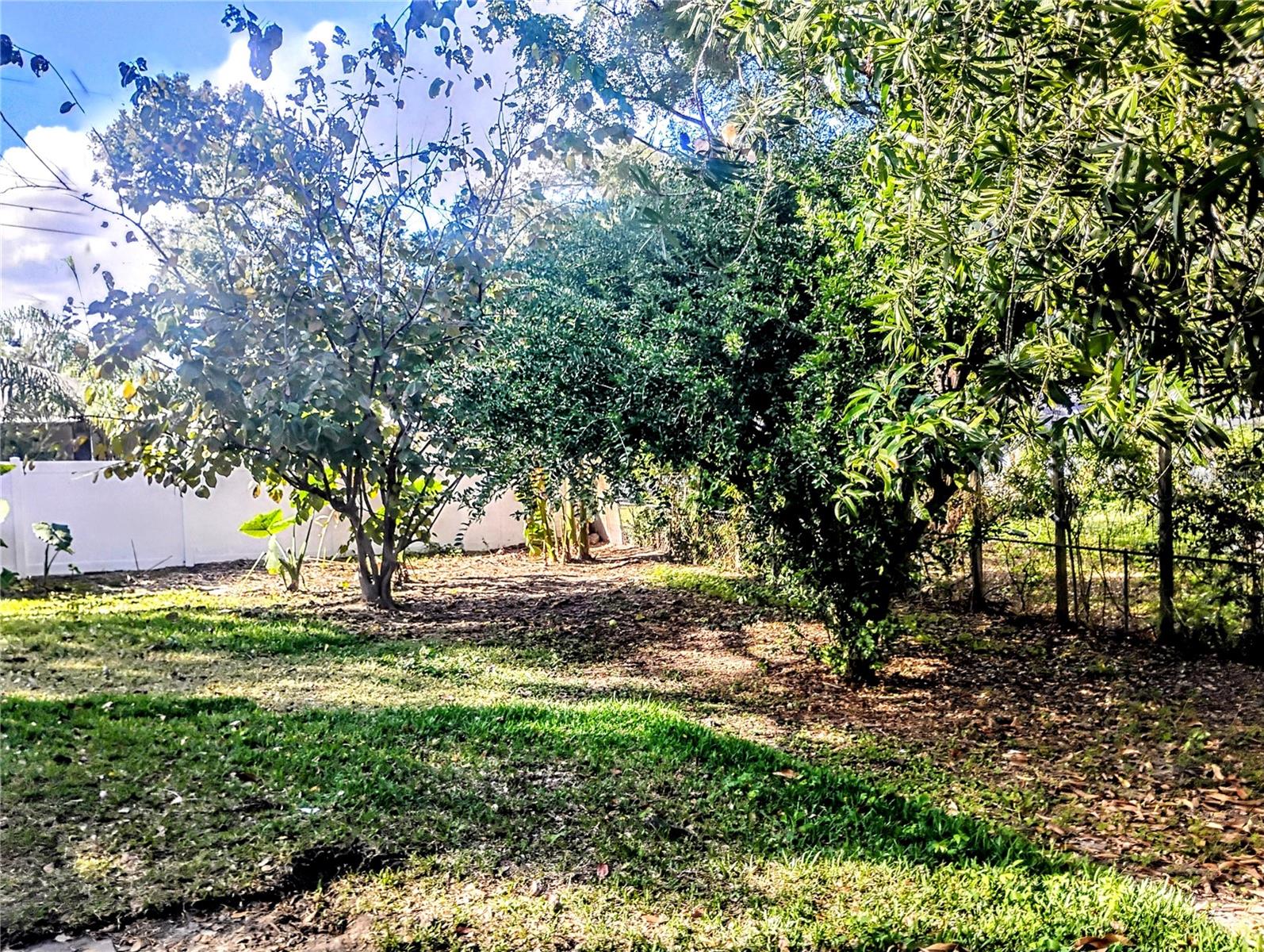 Image 41 of 42 For 4515 Orangewood Loop E