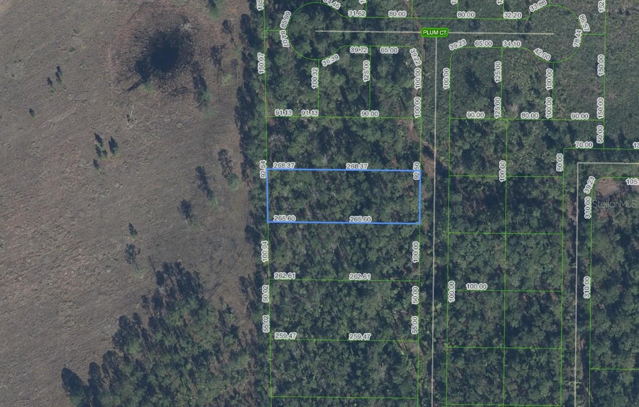 Details for 4705 Rhubarb Street, SEBRING, FL 33875
