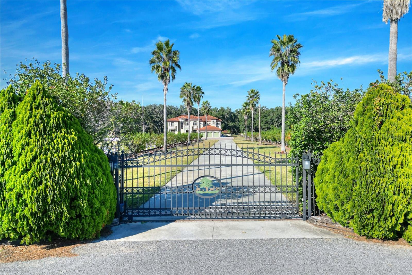 Image 85 of 92 For 4215 S B Merrion Road