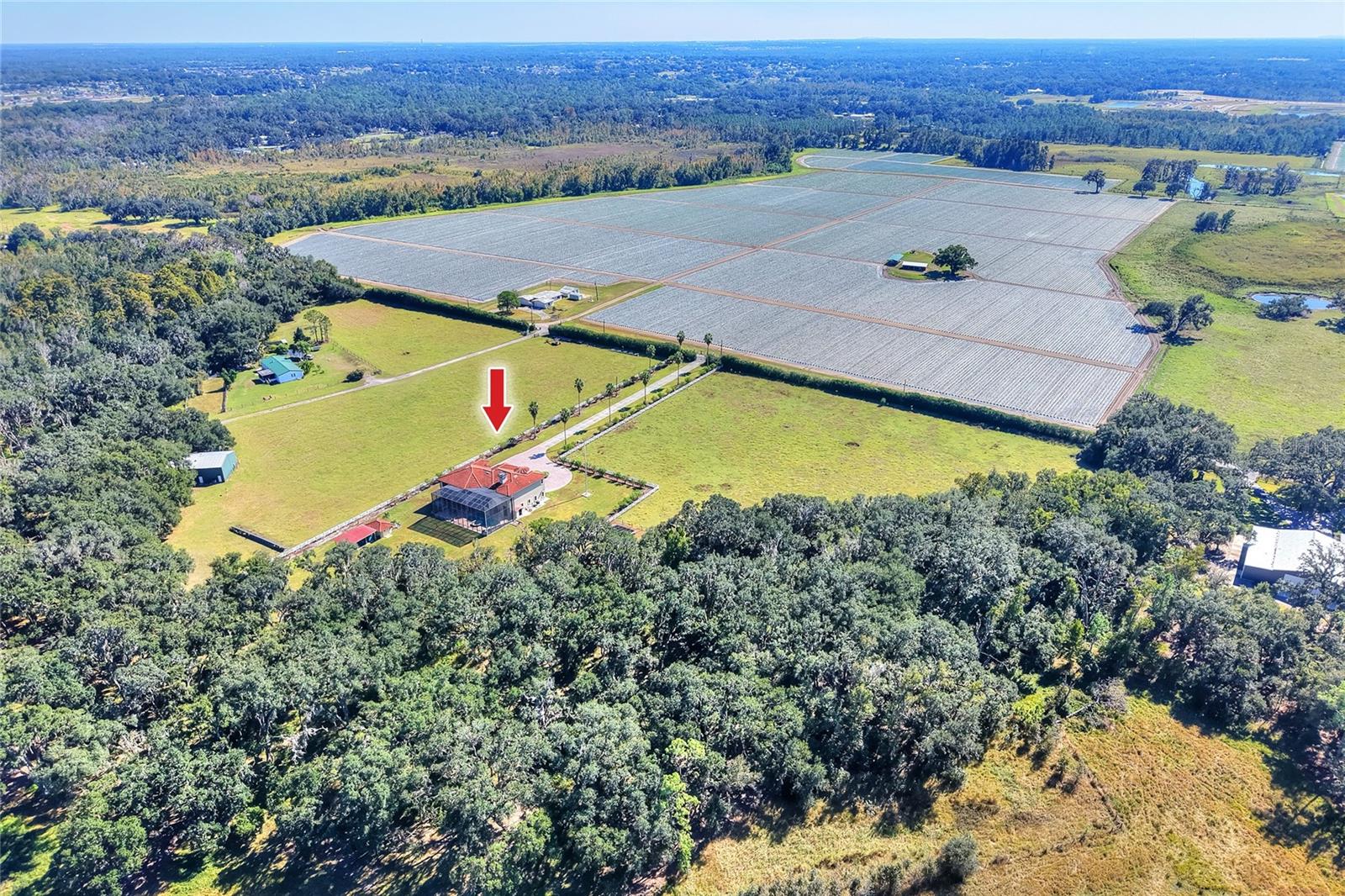 Image 87 of 92 For 4215 S B Merrion Road