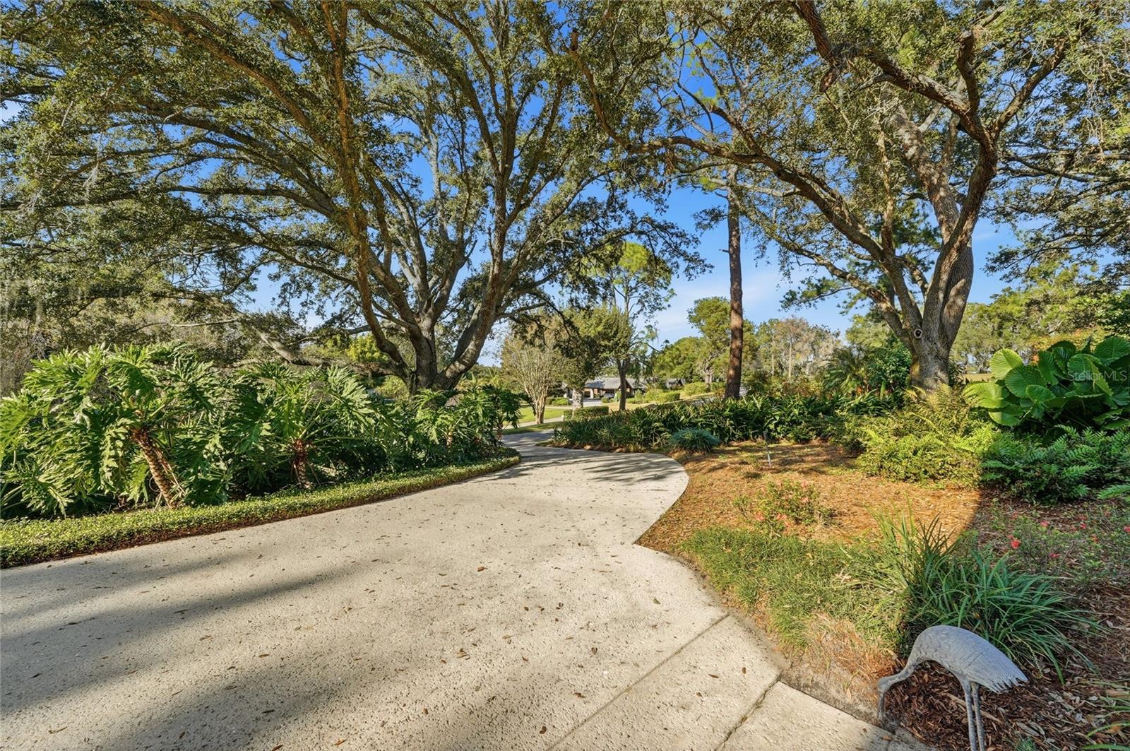 Listing photo id 70 for 3 Brogden Court Se