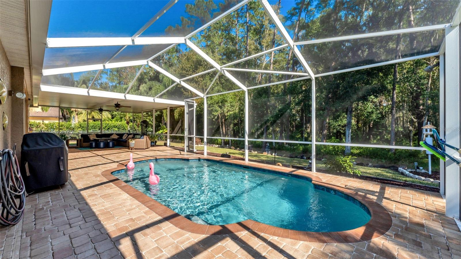 Image 38 of 51 For 2565 Appaloosa Trail