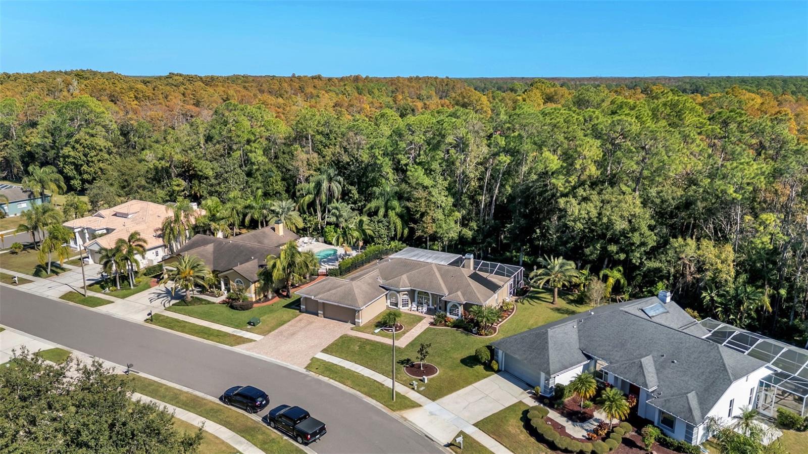 Image 49 of 51 For 2565 Appaloosa Trail