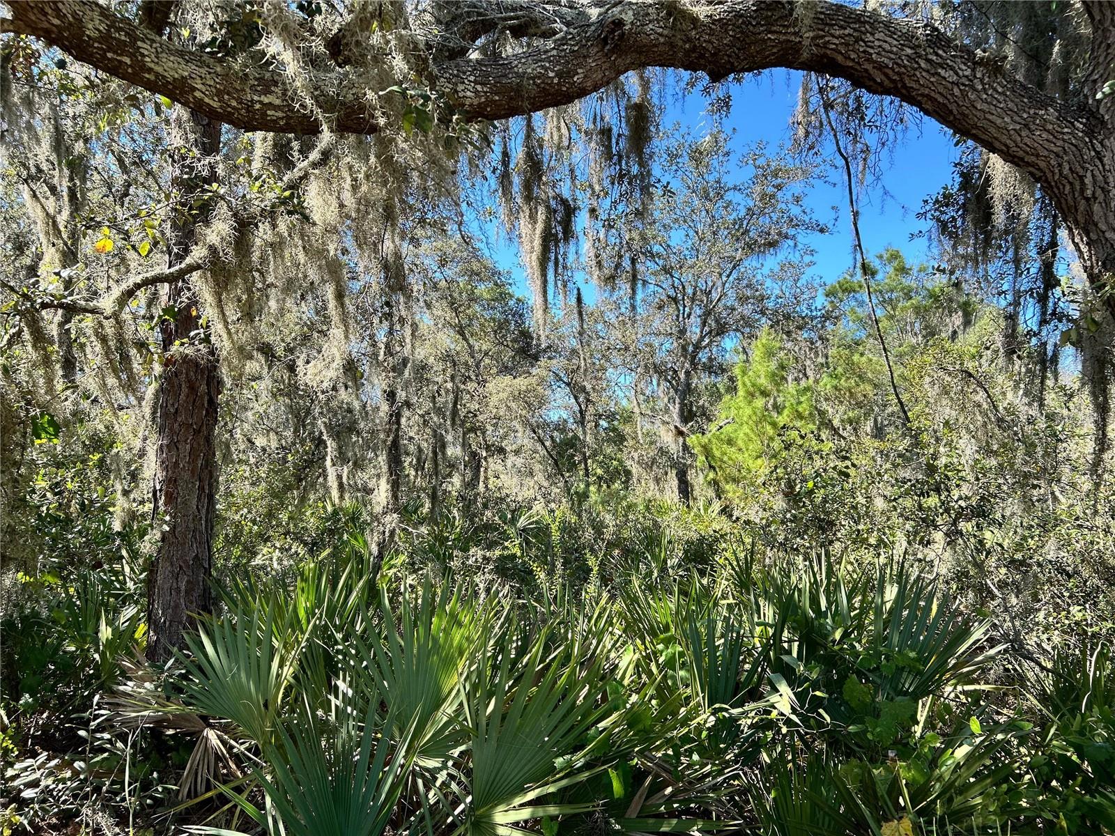 Details for Woodstork Way, FROSTPROOF, FL 33843