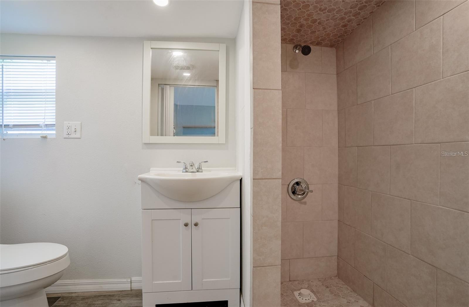 Image 30 of 34 For 107 Lake Howard Drive Nw