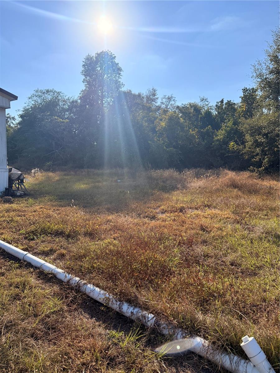 Image 5 of 5 For 891 Lake Wales Road N