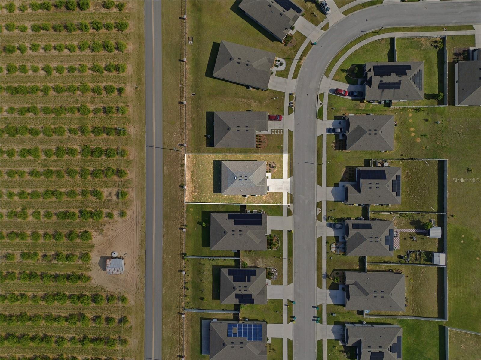 Image 37 of 38 For 2001 Amber Sweet Circle