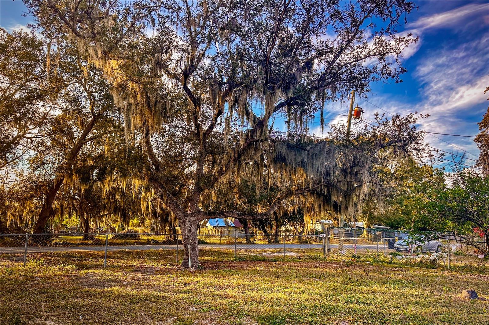 Image 50 of 50 For 198 Spurlock Road