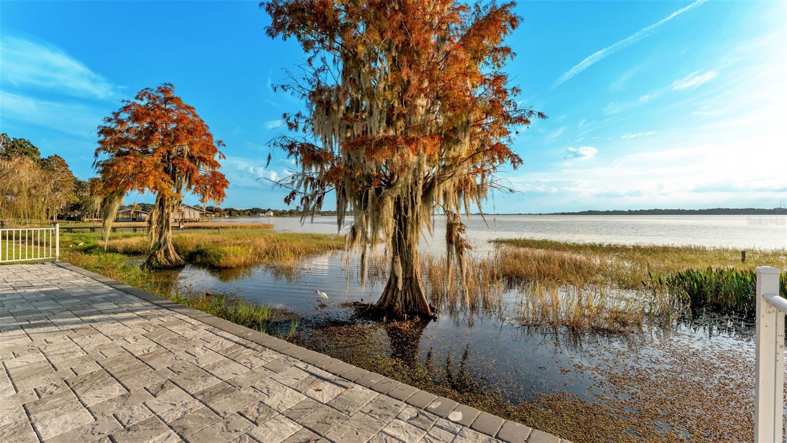 Image 42 of 85 For 165 Arianna Way