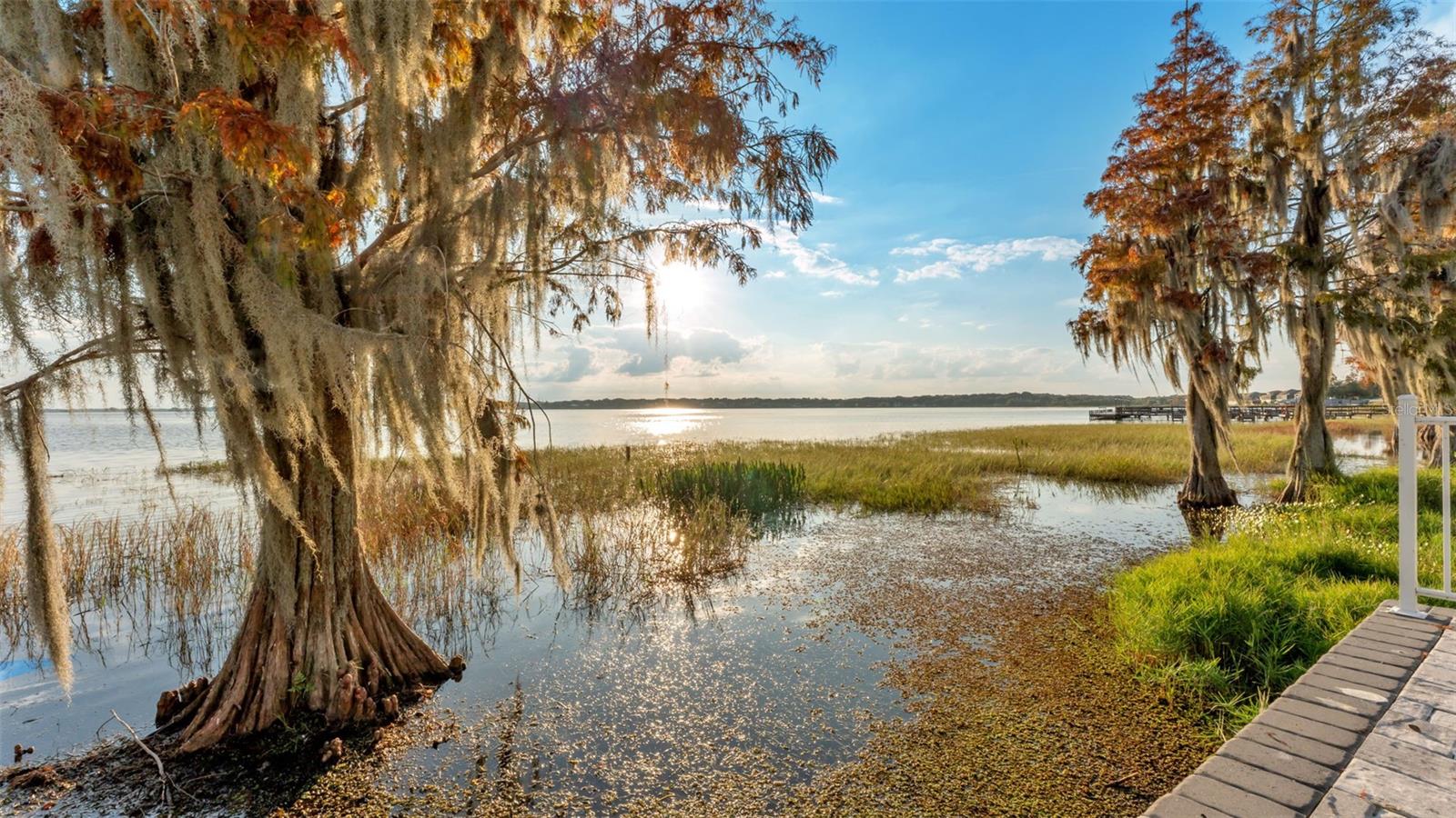 Image 43 of 85 For 165 Arianna Way