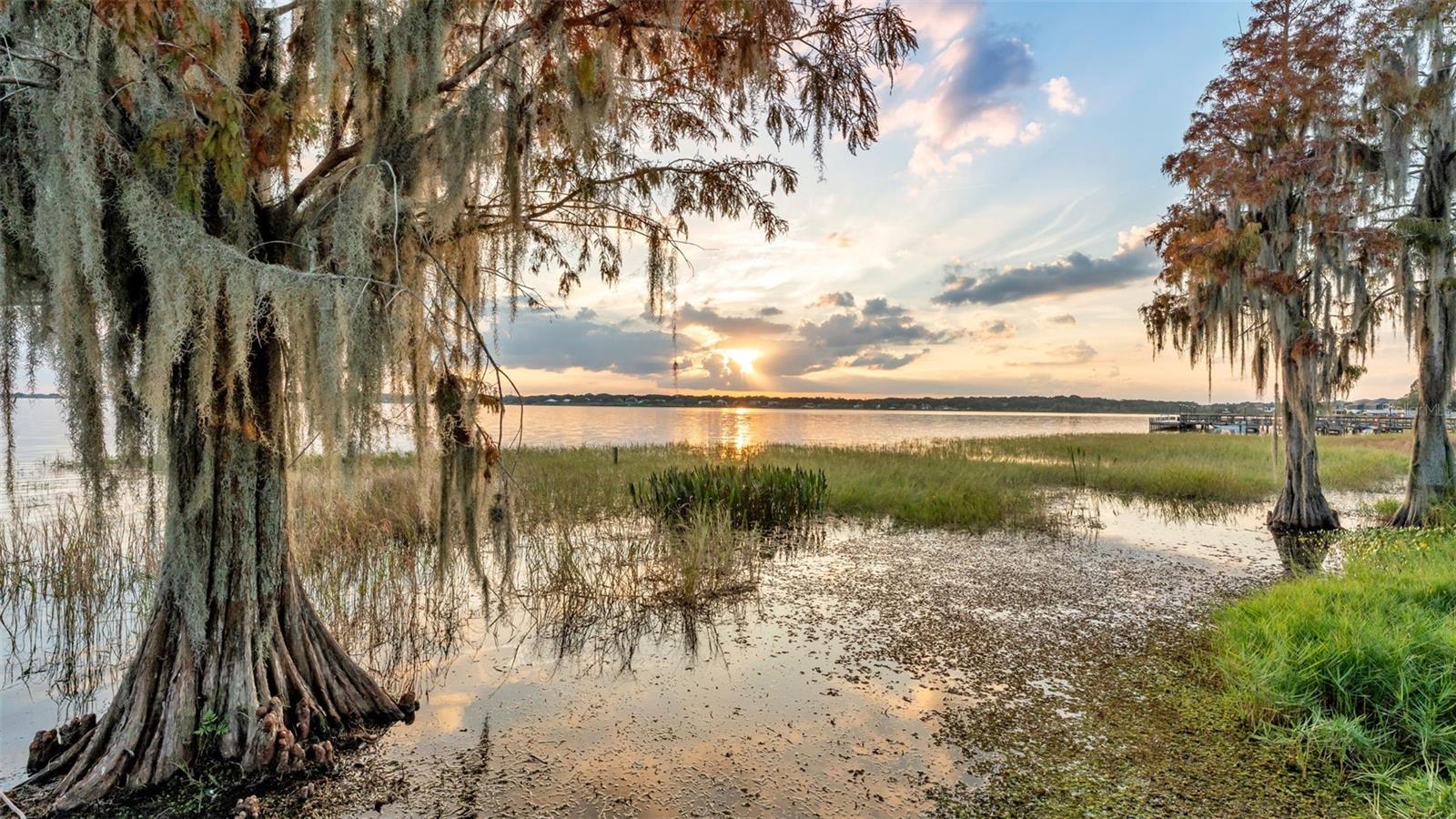 Image 7 of 85 For 165 Arianna Way