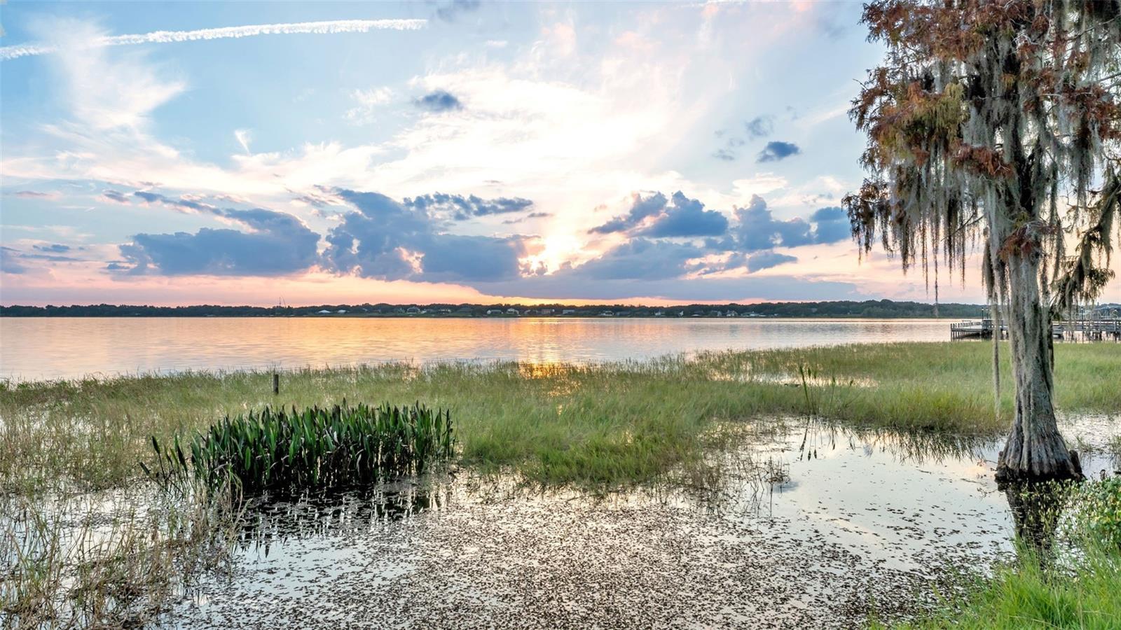 Image 85 of 85 For 165 Arianna Way