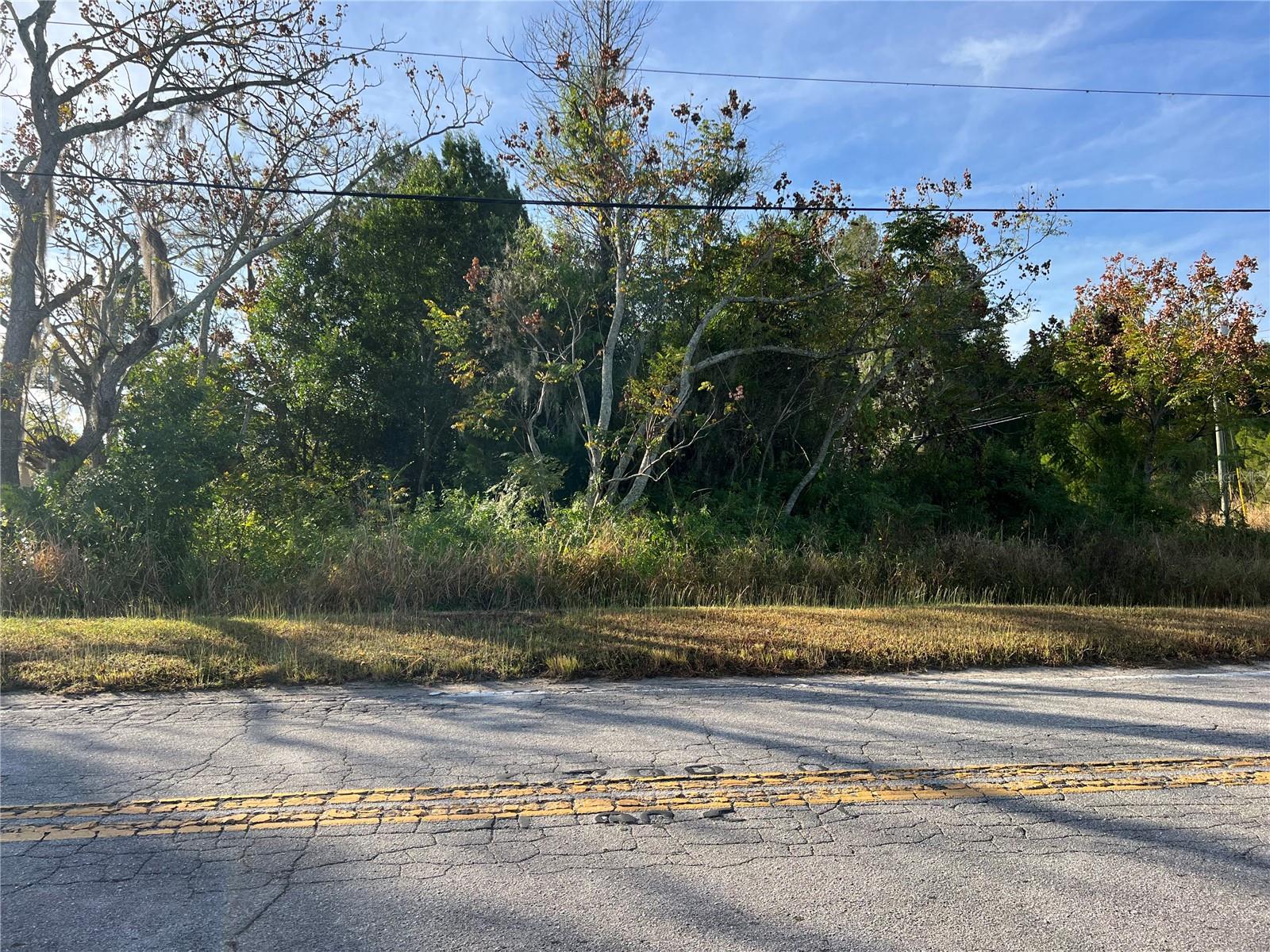 Listing Details for 0 5th Avenue, BABSON PARK, FL 33827