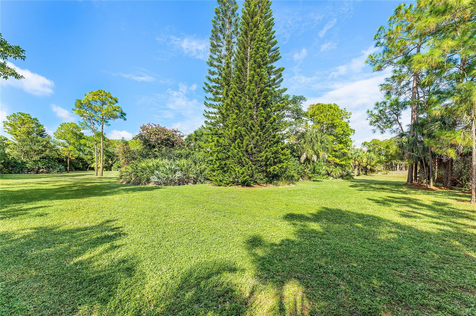 Image 34 of 47 For 13200 Bridgewood Drive