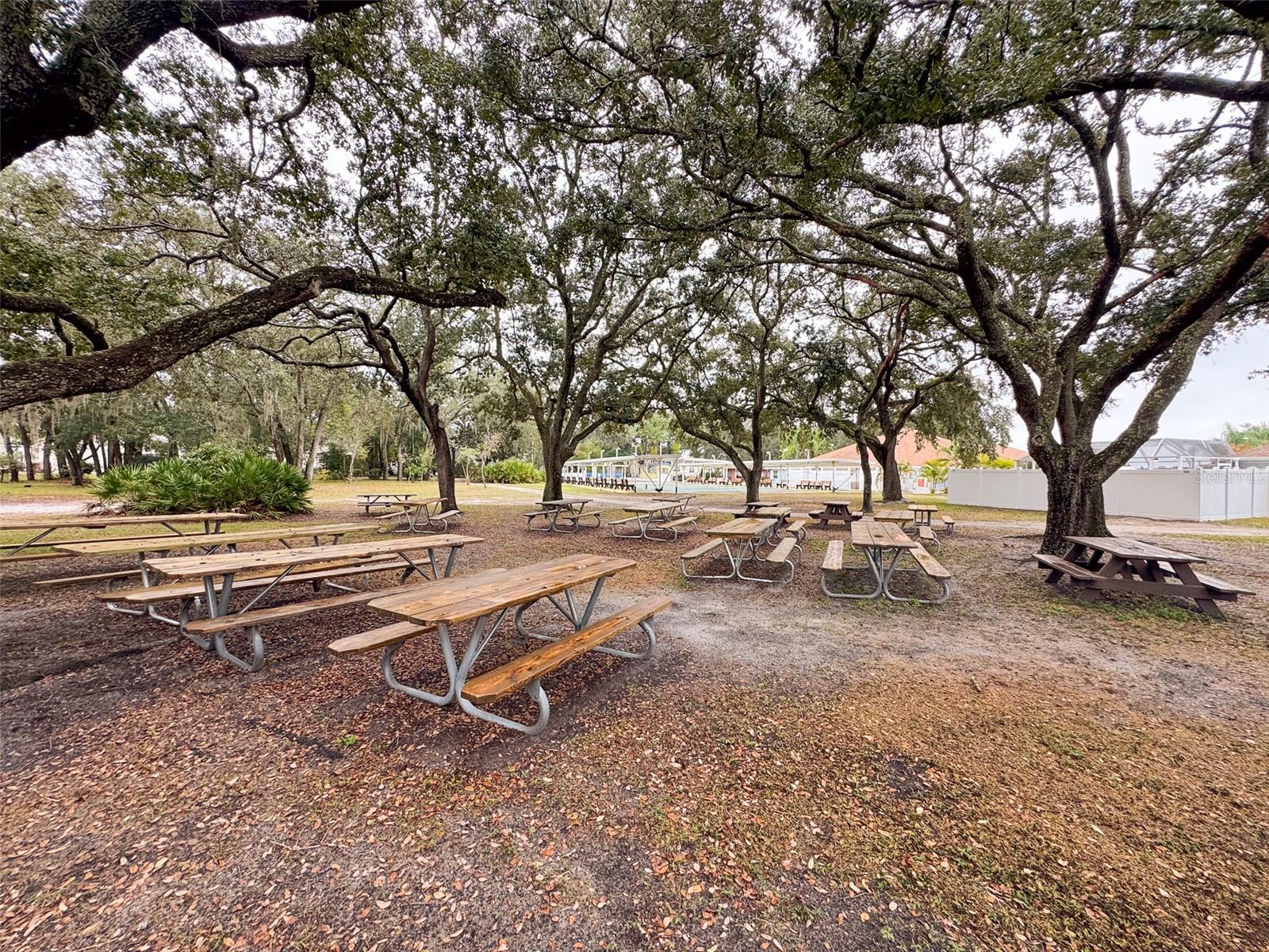 Image 48 of 49 For 30 Saddlebag Trail N