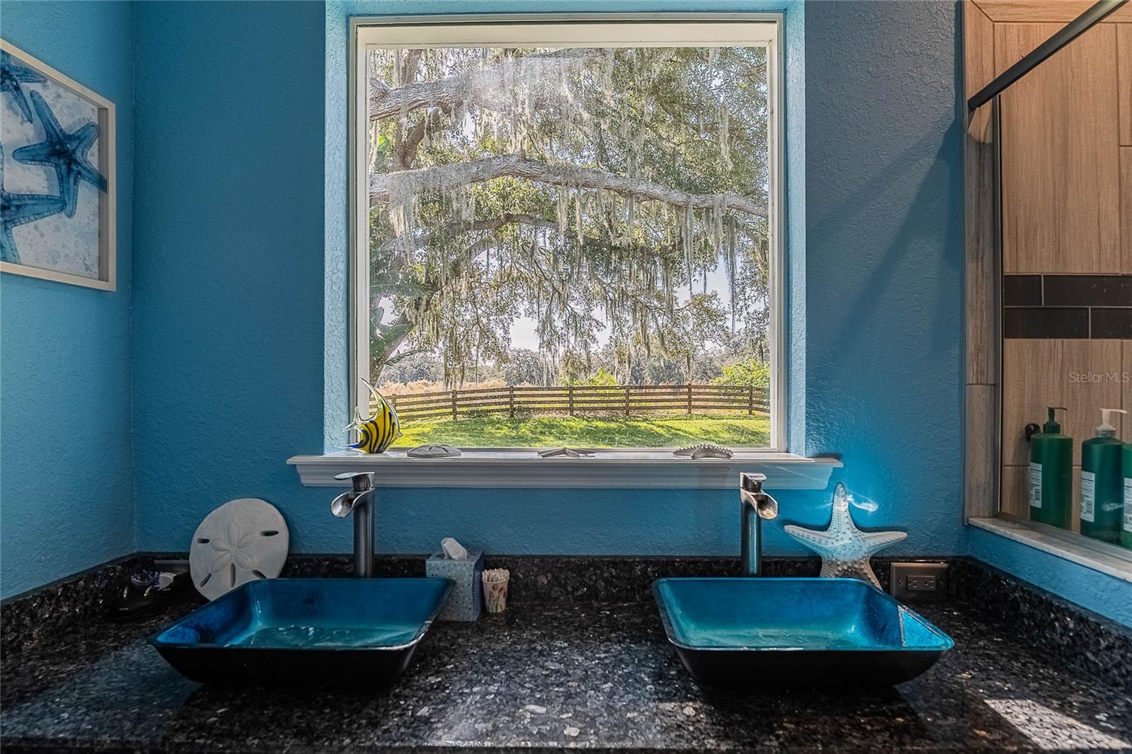 Image 20 of 84 For 2424 Burns Avenue