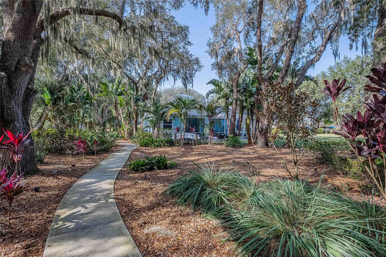 Image 32 of 84 For 2424 Burns Avenue