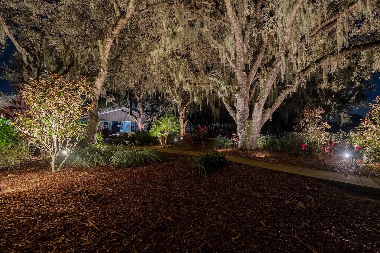 Image 78 of 84 For 2424 Burns Avenue