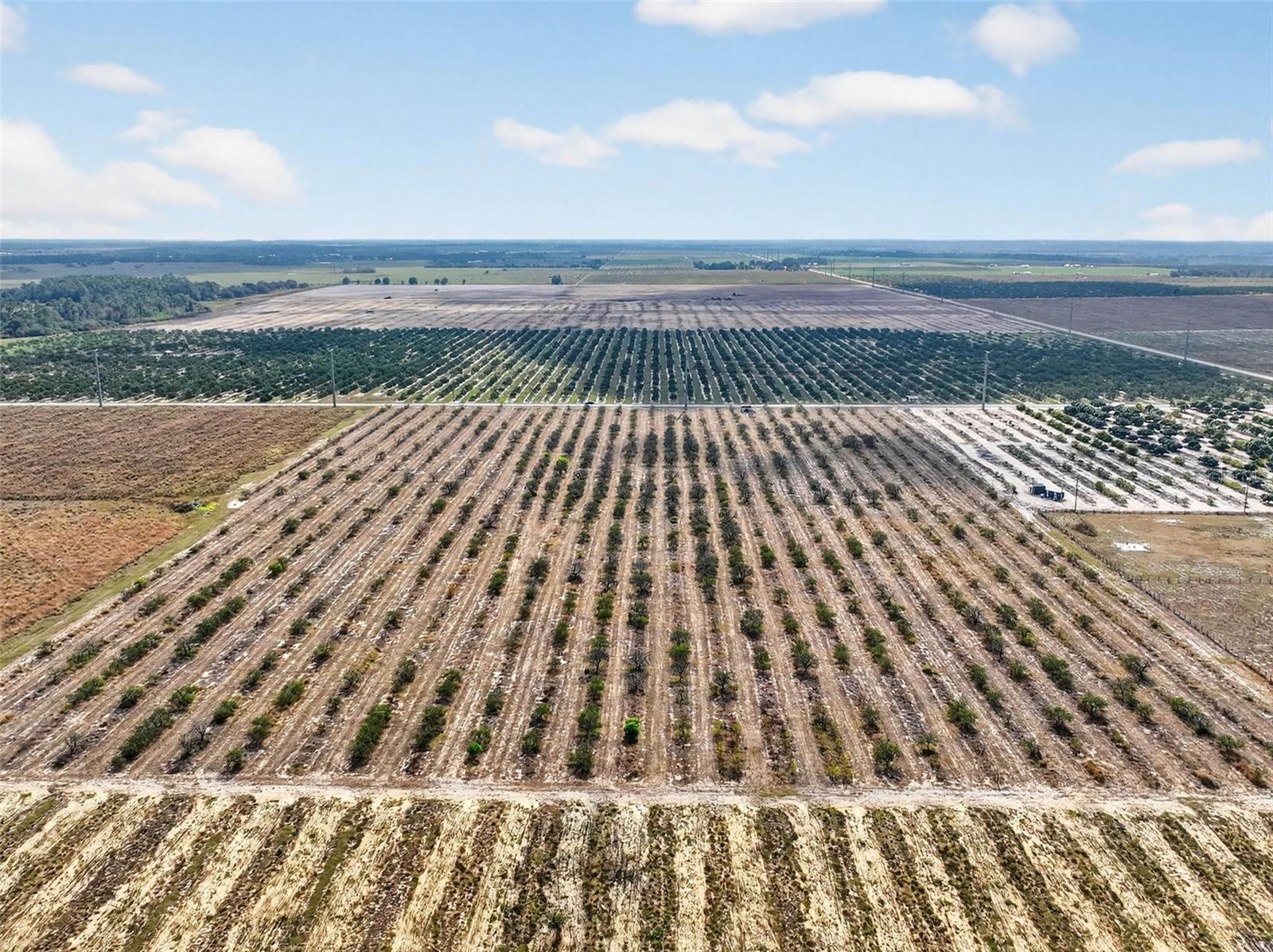 Image 13 of 15 For Alturas Babson Park Cutoff