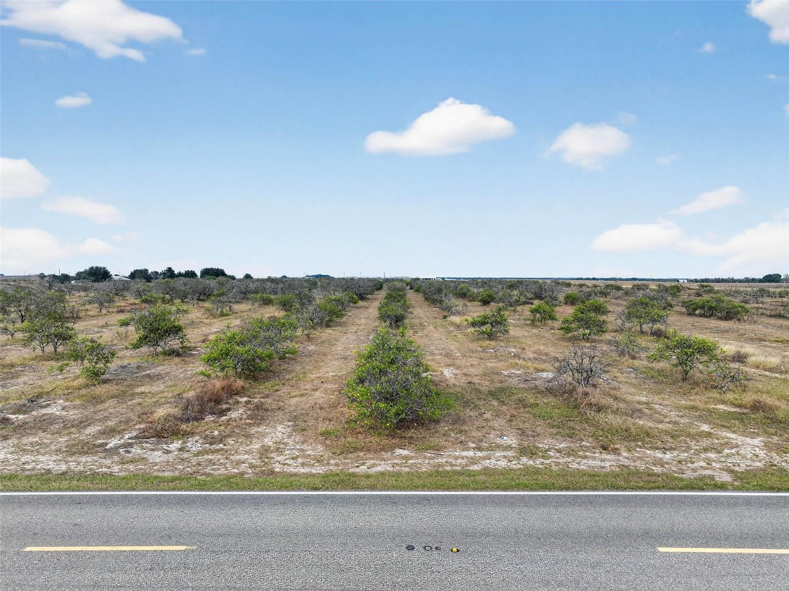 Image 4 of 15 For Alturas Babson Park Cutoff