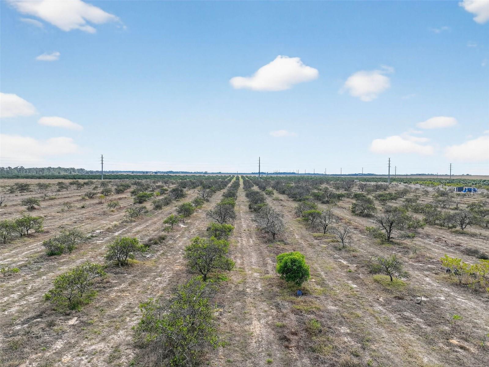 Image 6 of 15 For Alturas Babson Park Cutoff