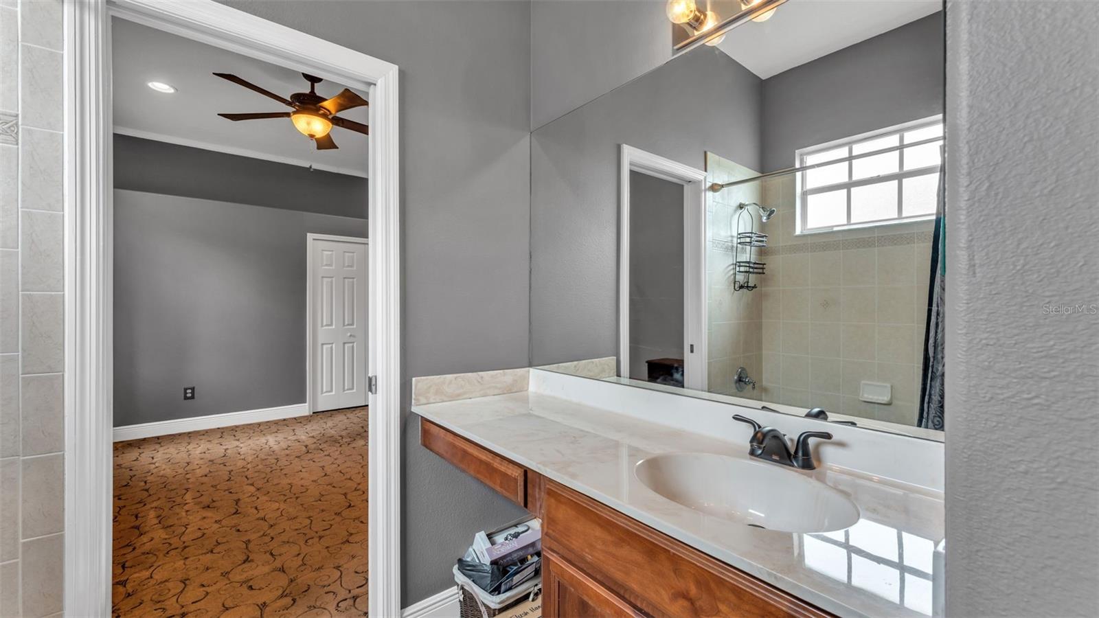 Image 46 of 76 For 1210 Facet View Way