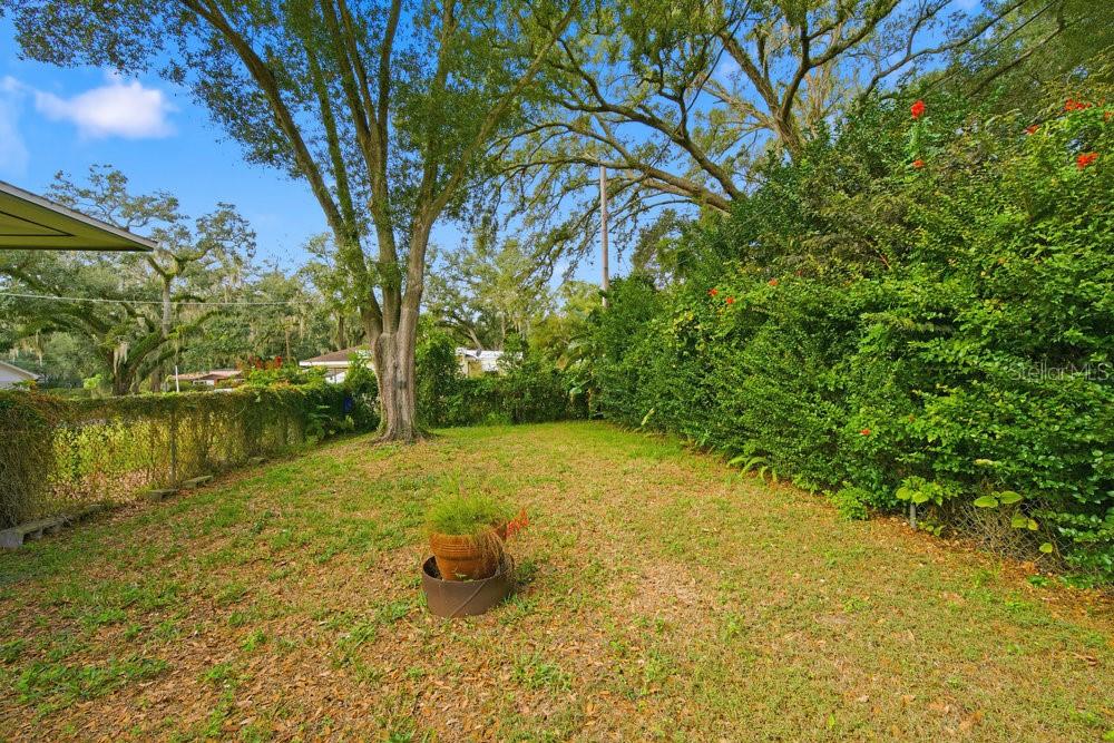 Image 25 of 33 For 535 Palm Drive