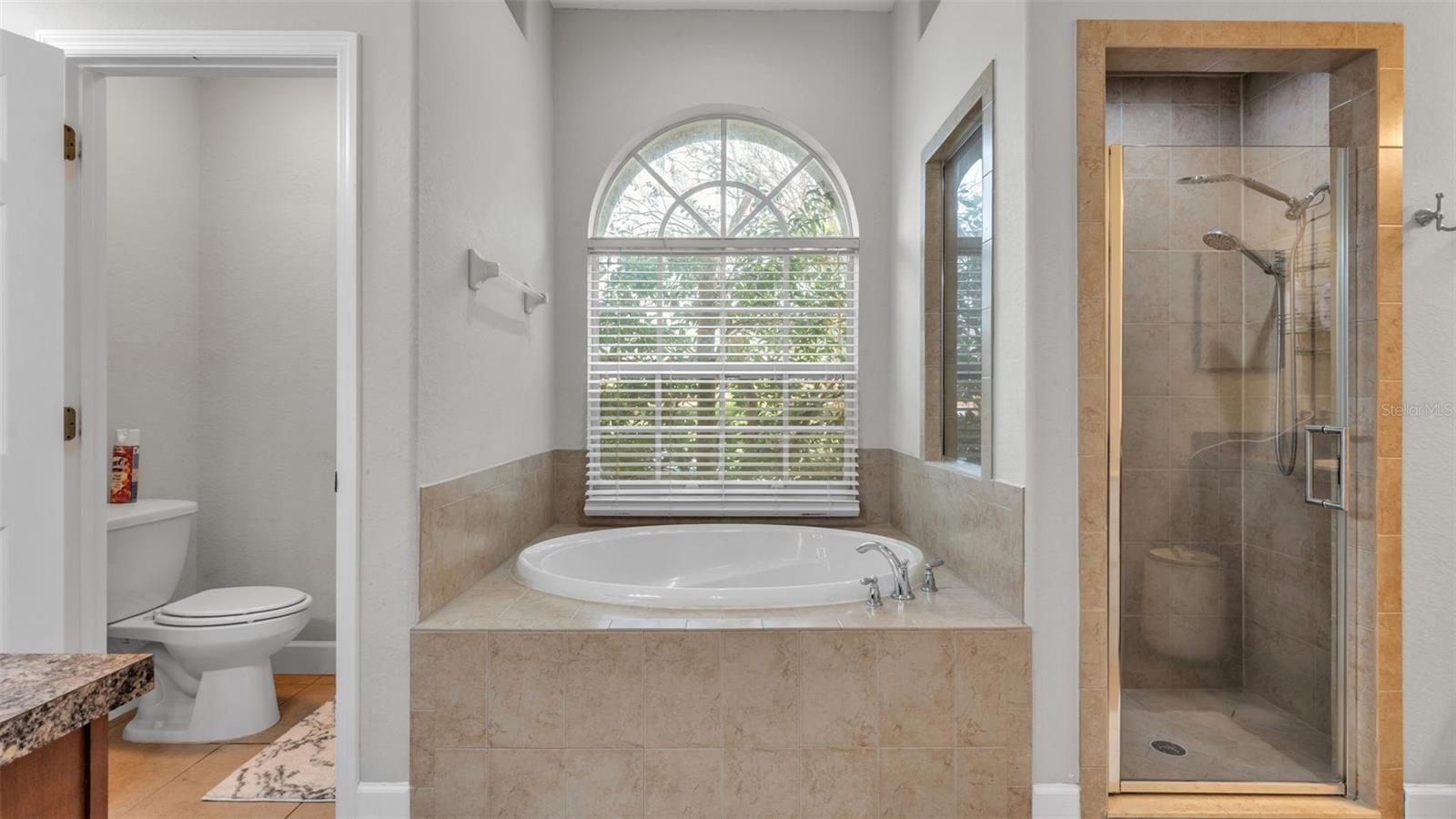 Image 40 of 61 For 227 Viola Drive