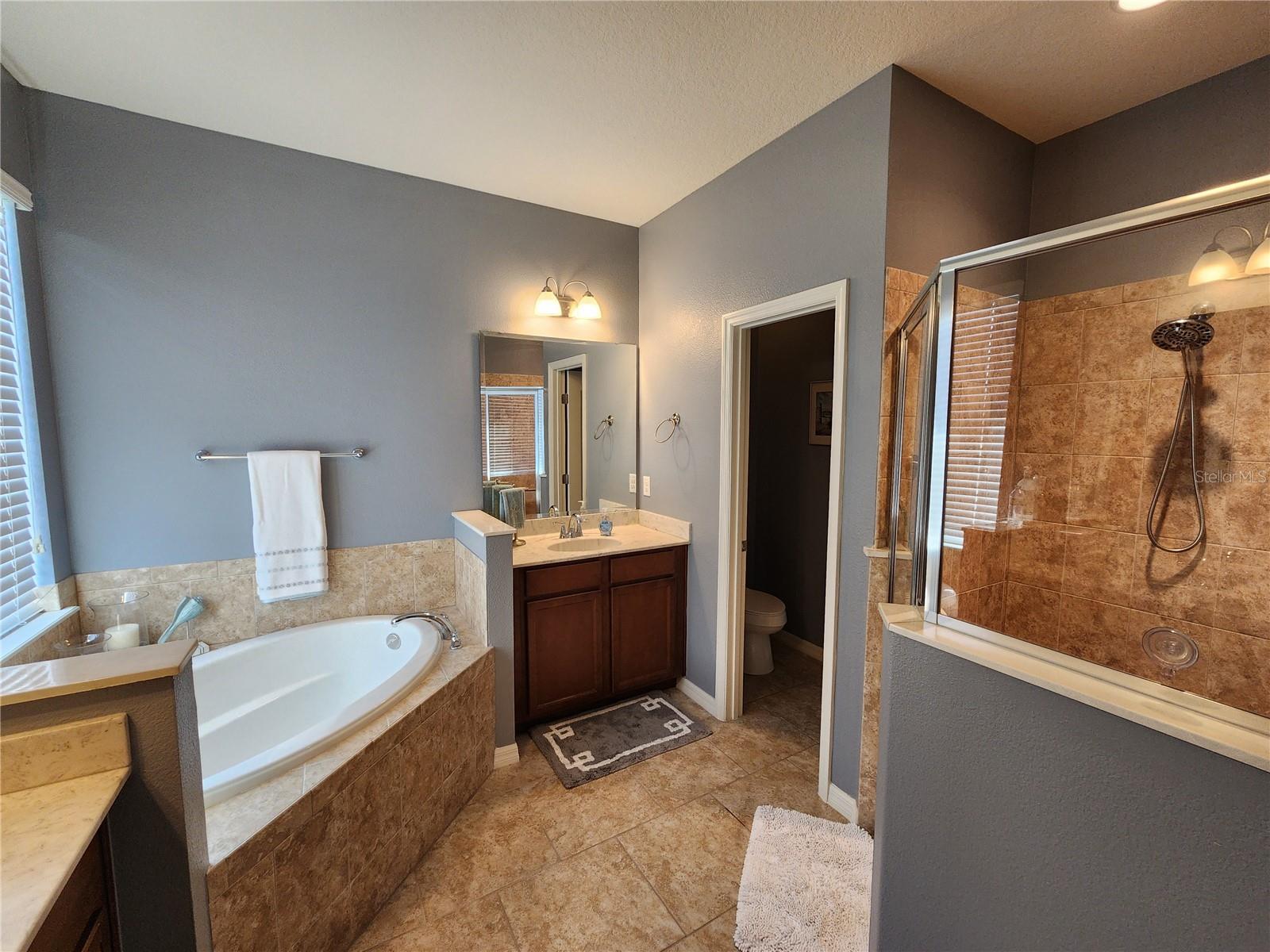 Image 15 of 34 For 1941 Wind Meadows Drive