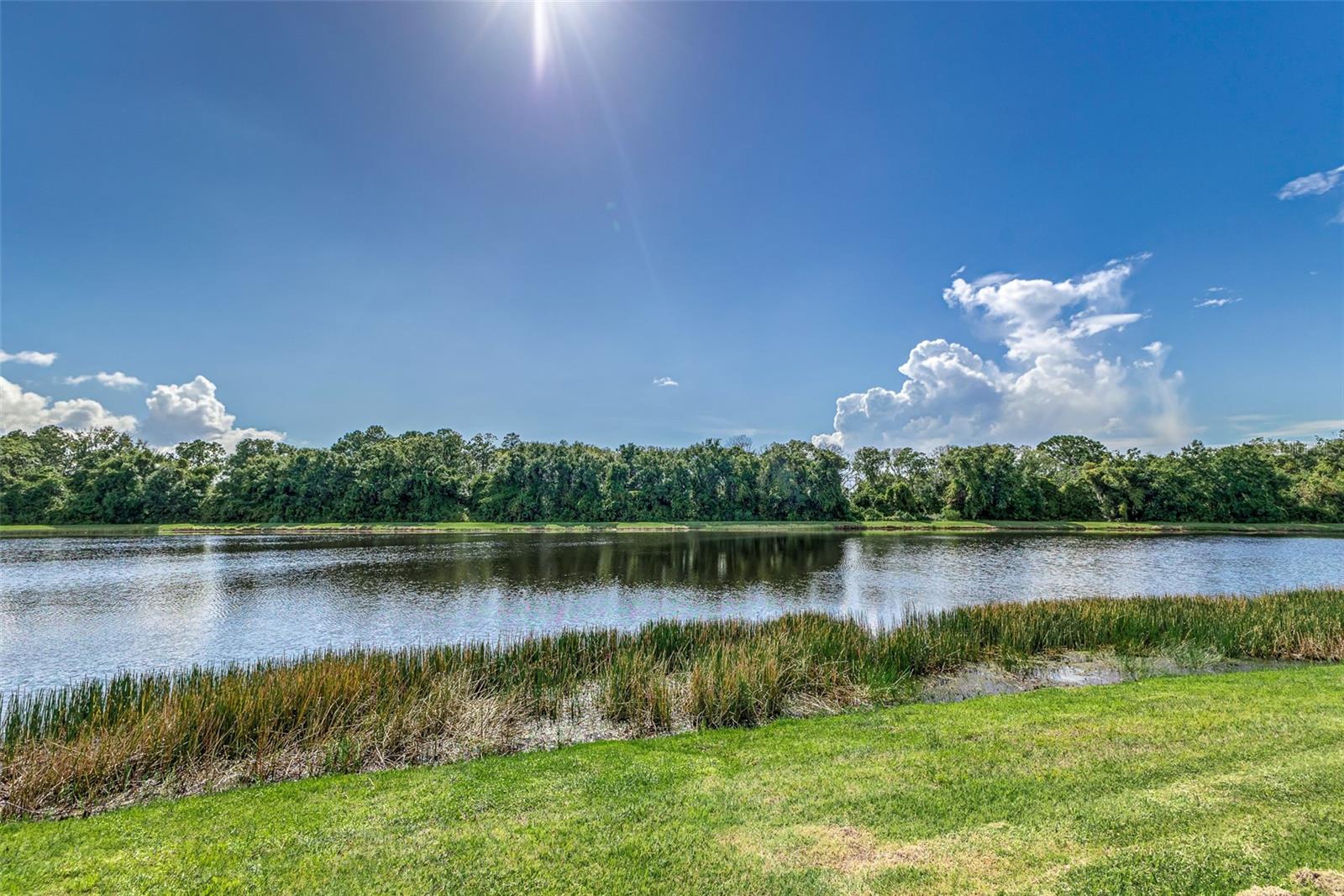 Image 50 of 50 For 5330 Silver Sun Drive