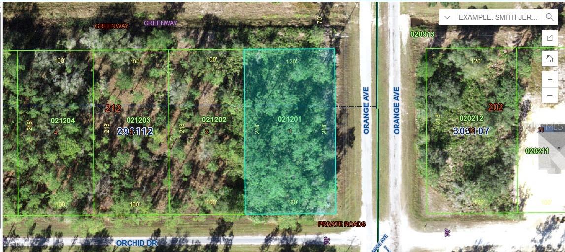 Details for 0 Orchid Drive, INDIAN LAKE ESTATES, FL 33855