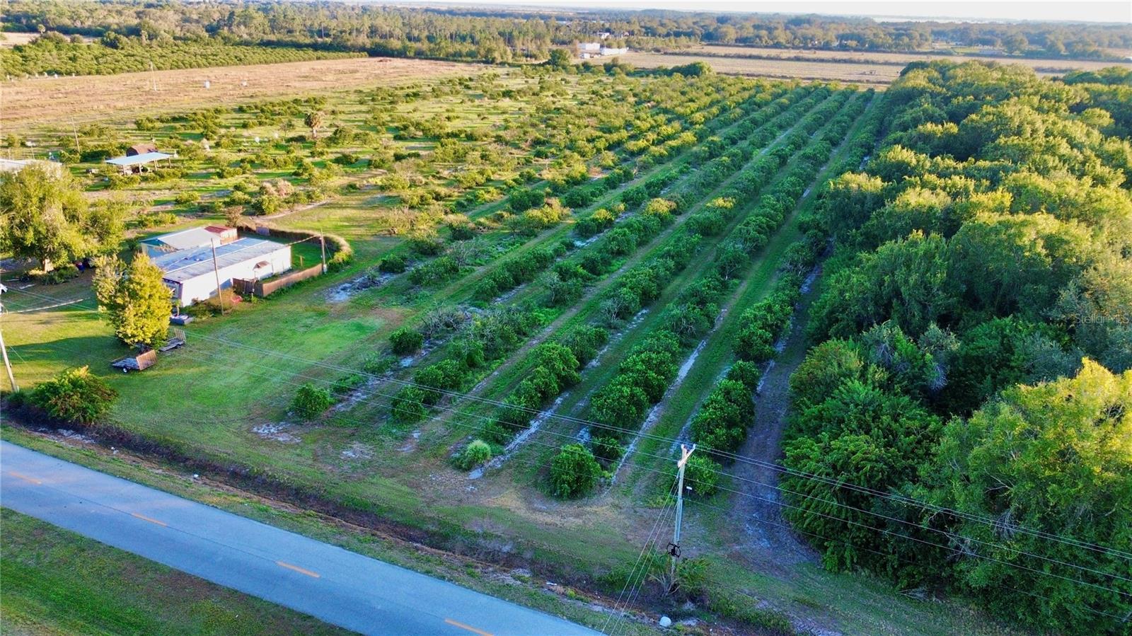 Image 7 of 8 For 2205 Hicks Road