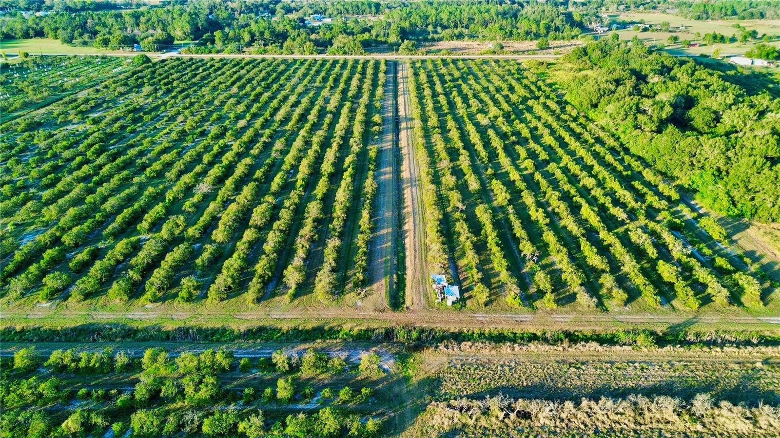 Details for 2233 Hicks Road, LORIDA, FL 33857