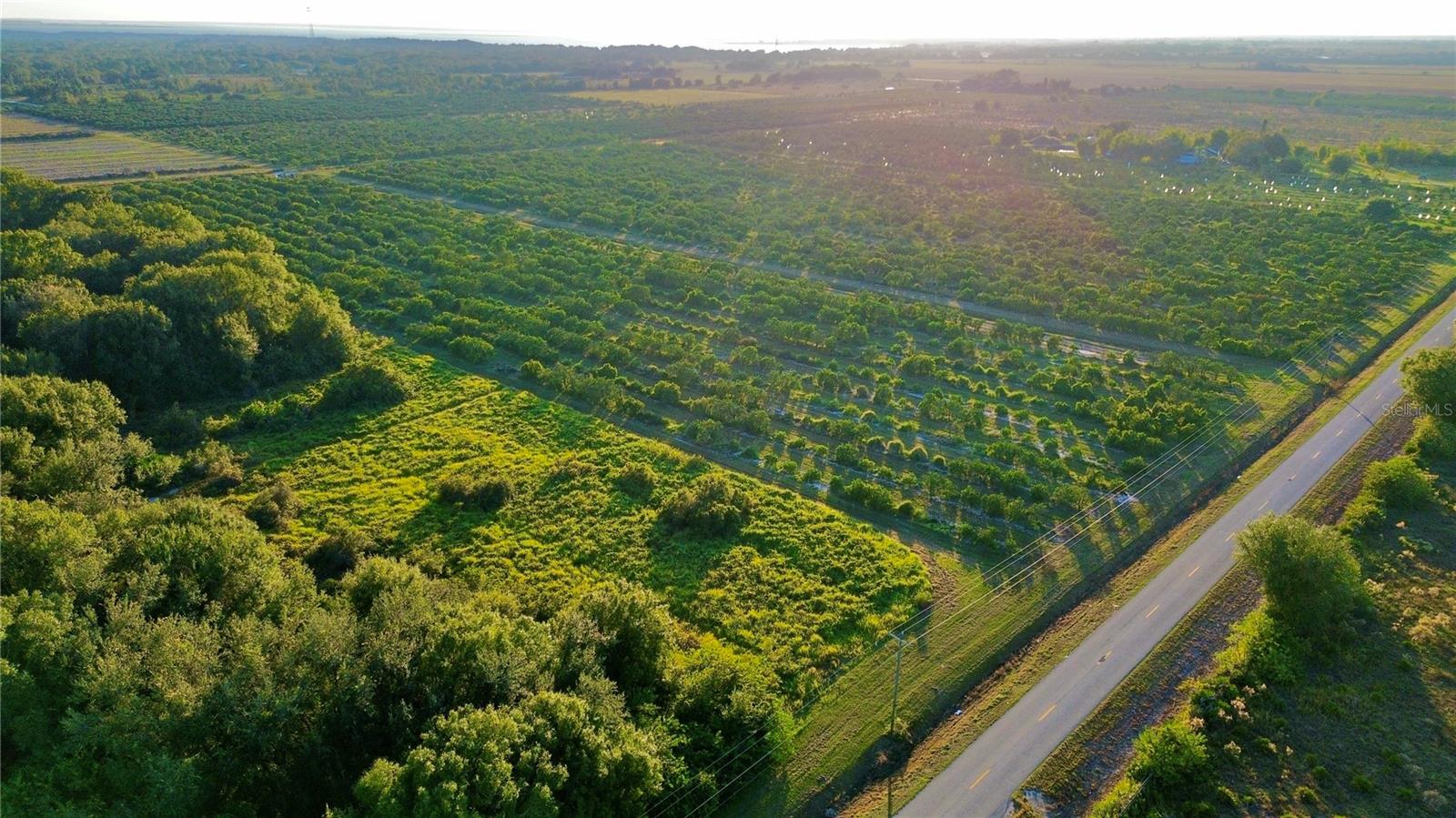 Image 4 of 5 For 2233 Hicks Road