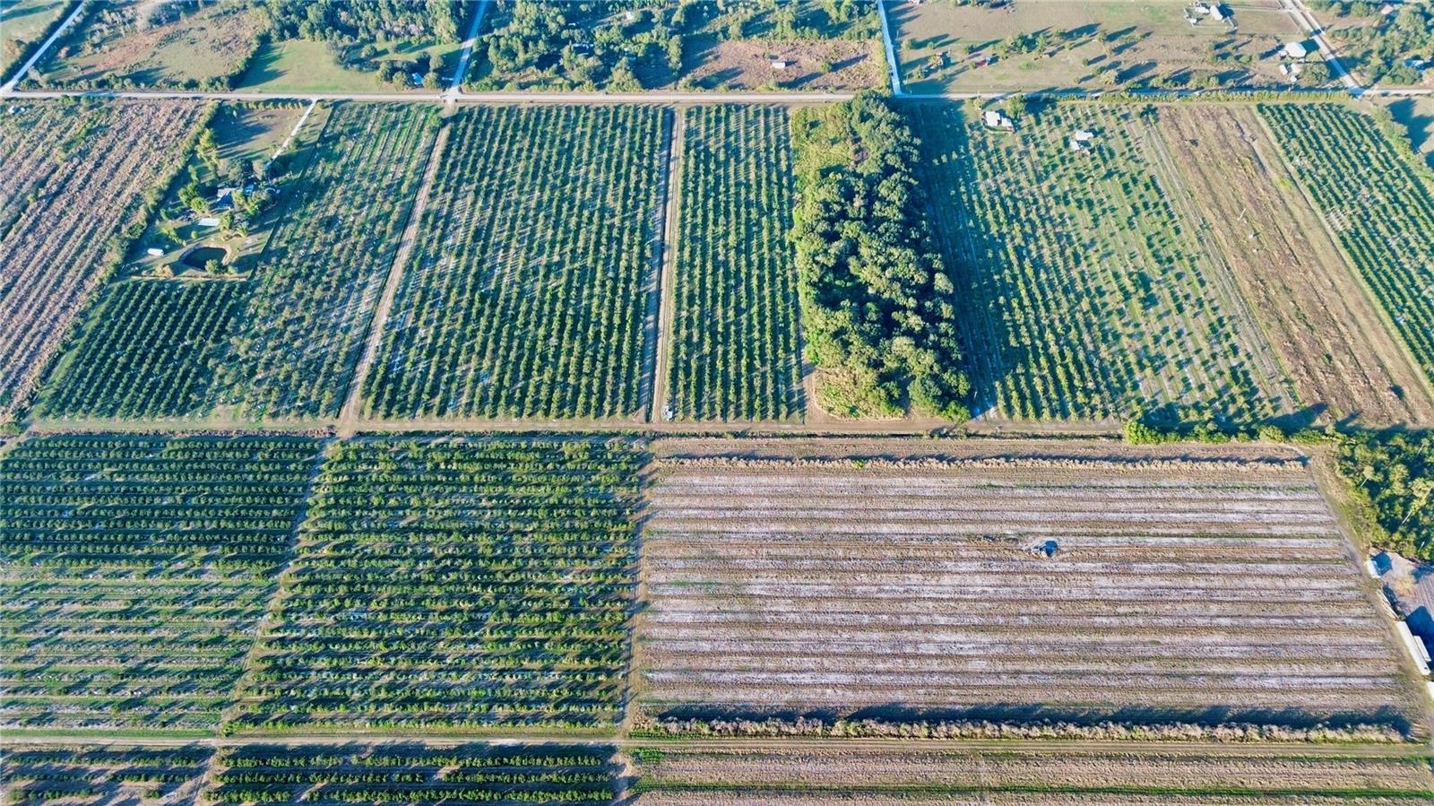 Details for 1050 Arbuckle Creek Road, LORIDA, FL 33857