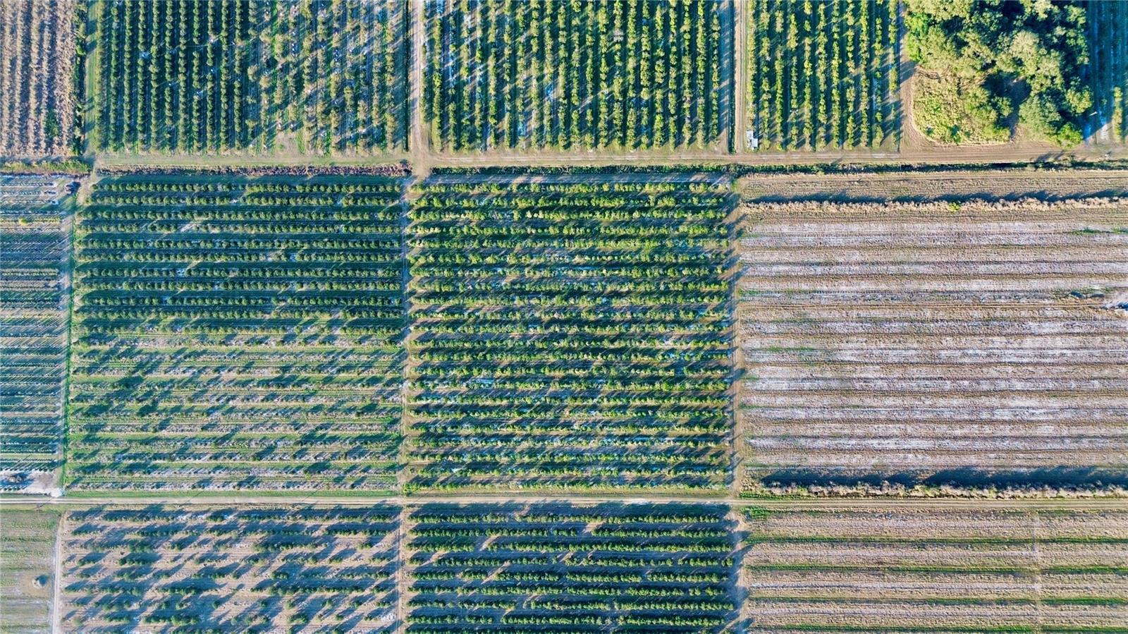 Image 3 of 6 For 1050 Arbuckle Creek Road