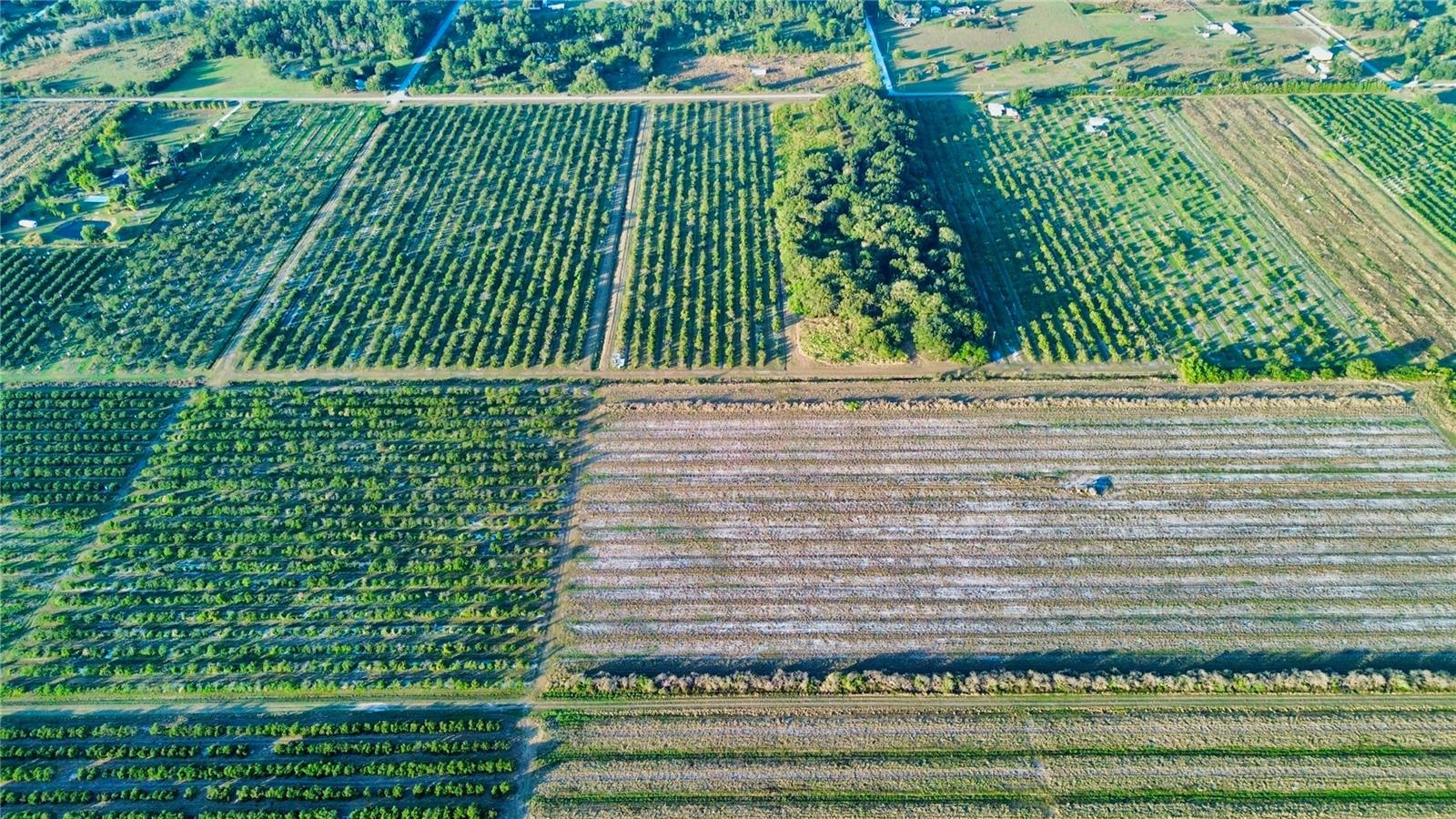 Image 5 of 6 For 1050 Arbuckle Creek Road