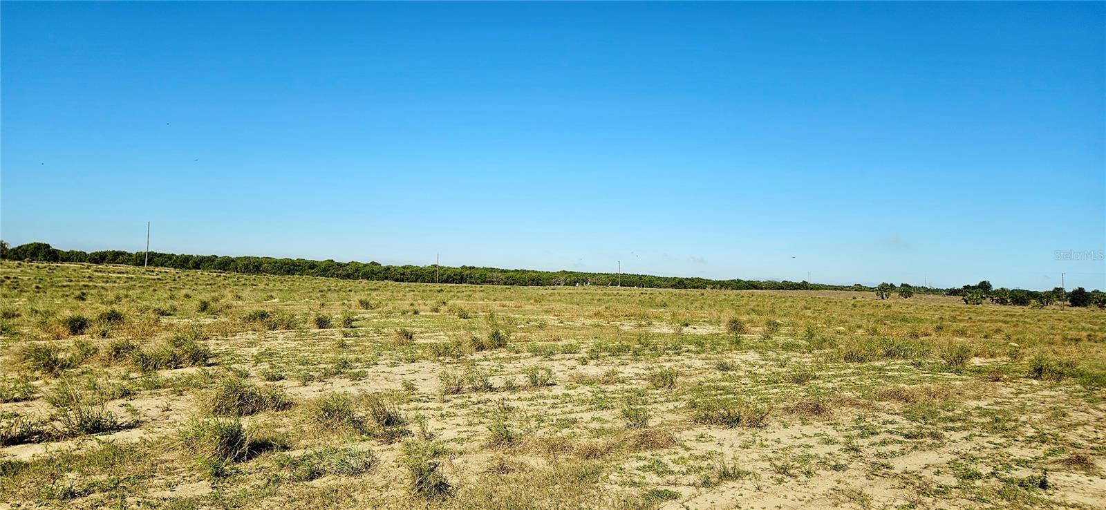 Image 3 of 7 For Dog Yard Road