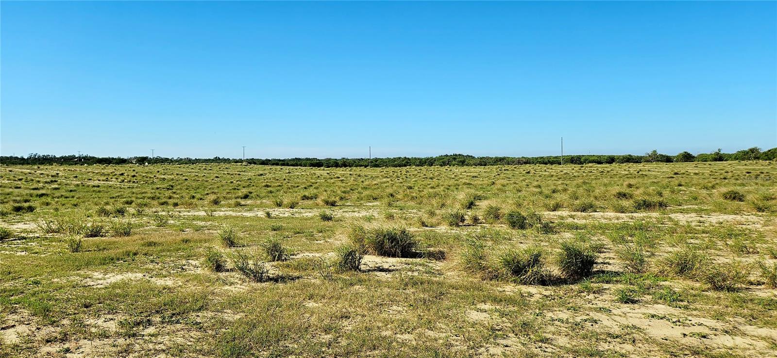 Image 4 of 7 For Dog Yard Road