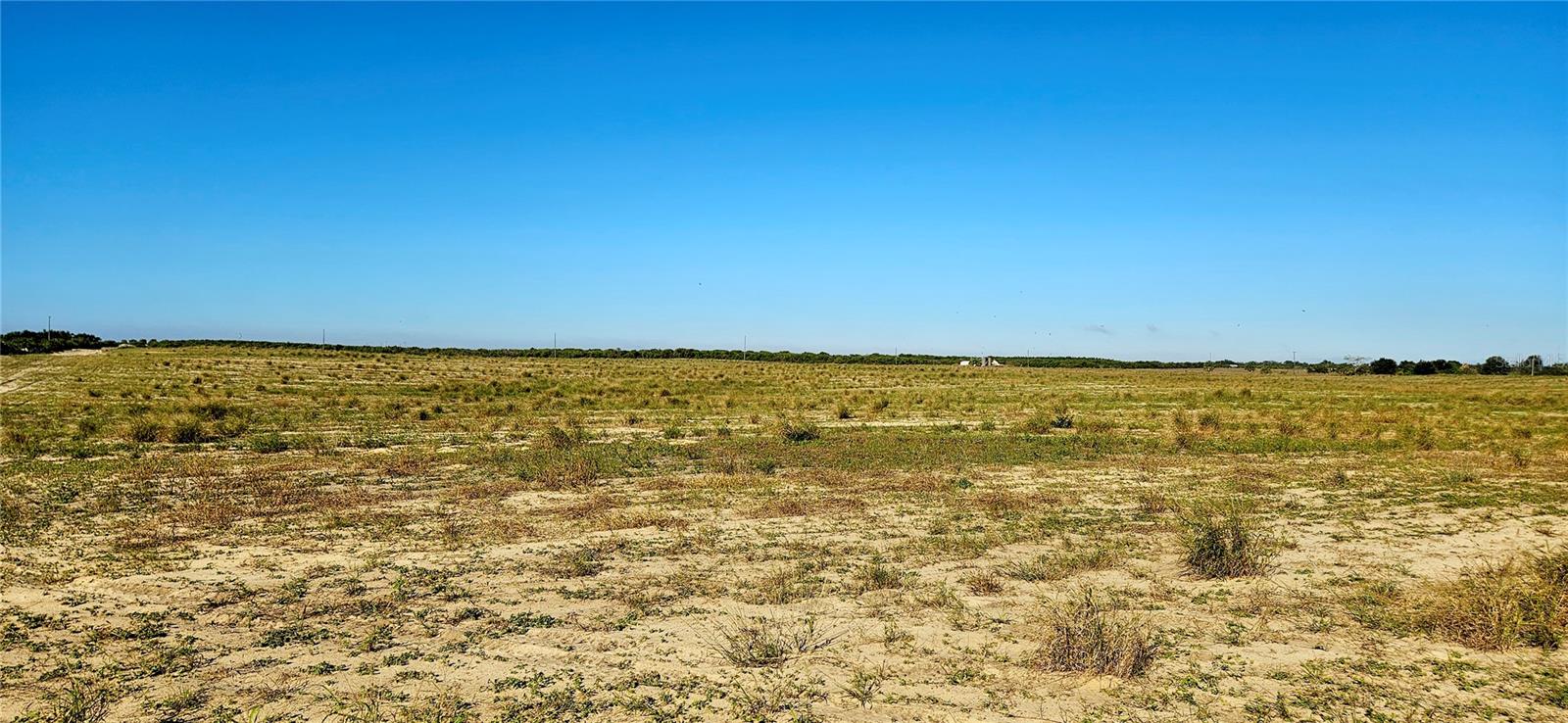 Image 5 of 7 For Dog Yard Road