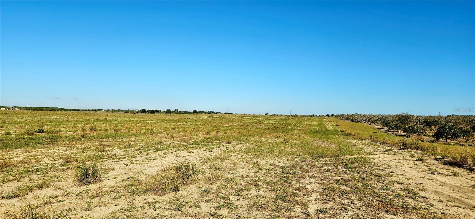 Image 6 of 7 For Dog Yard Road