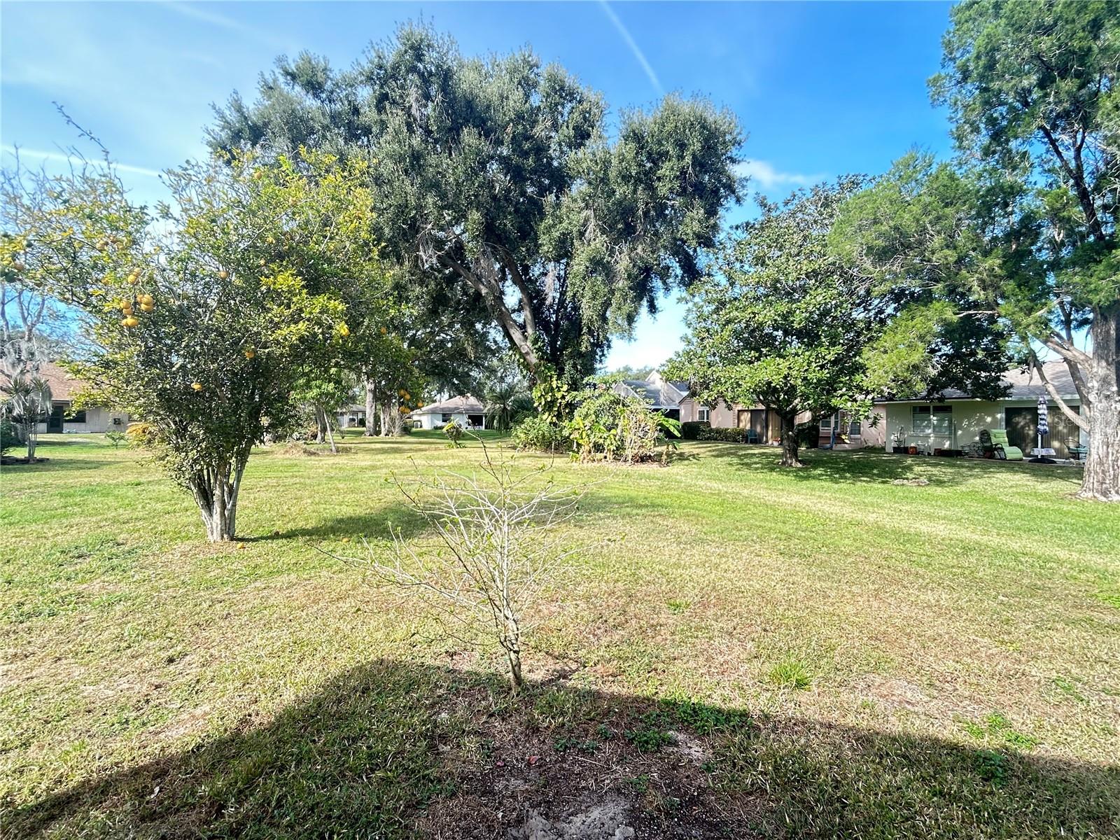 Image 17 of 24 For 522 Pebble Springs Court