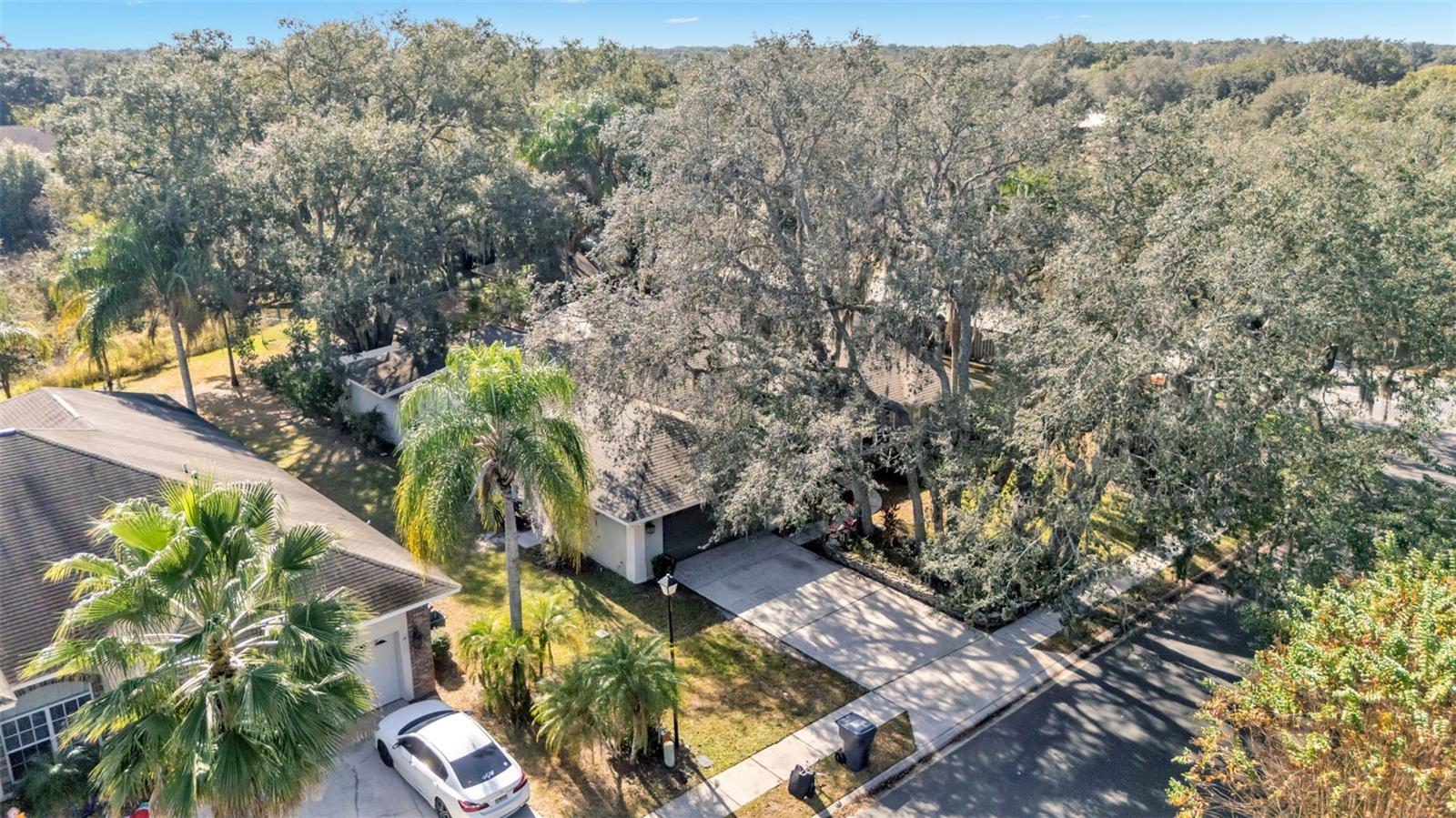 Image 65 of 65 For 1505 Hastings Path