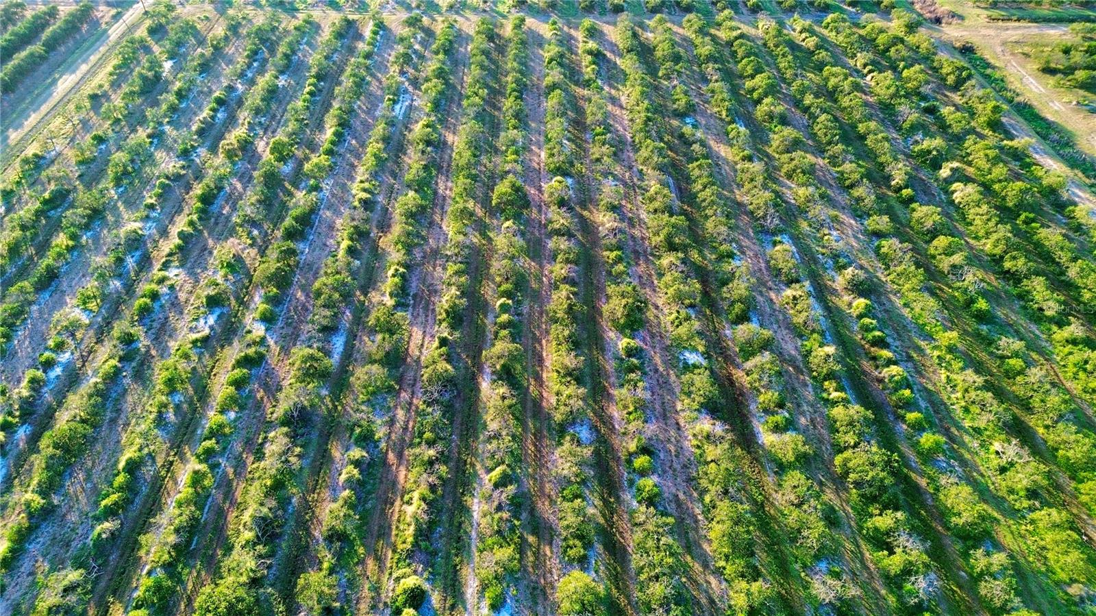 Image 4 of 5 For 2413 Hicks Road