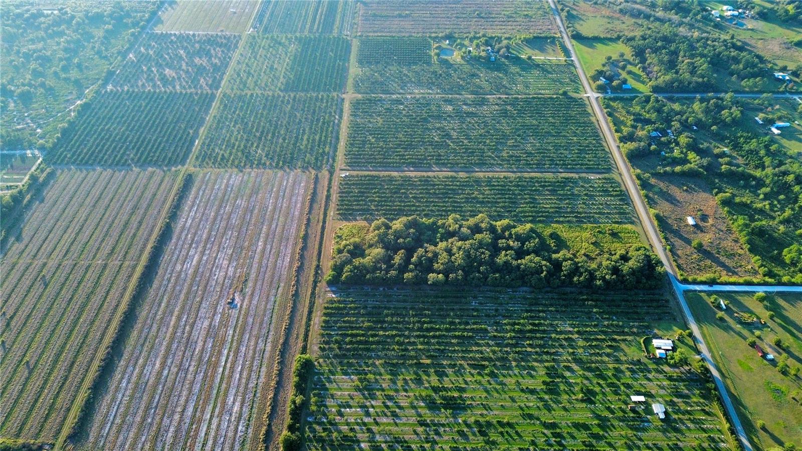 Image 5 of 5 For 2413 Hicks Road