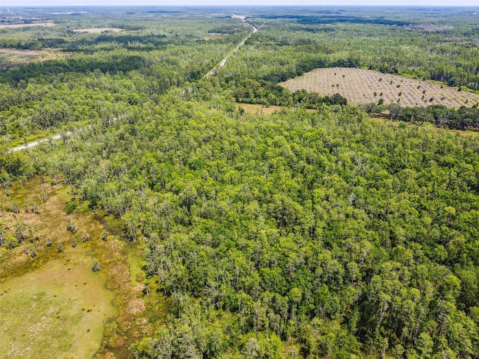 Image 10 of 16 For 0 Hwy 557  