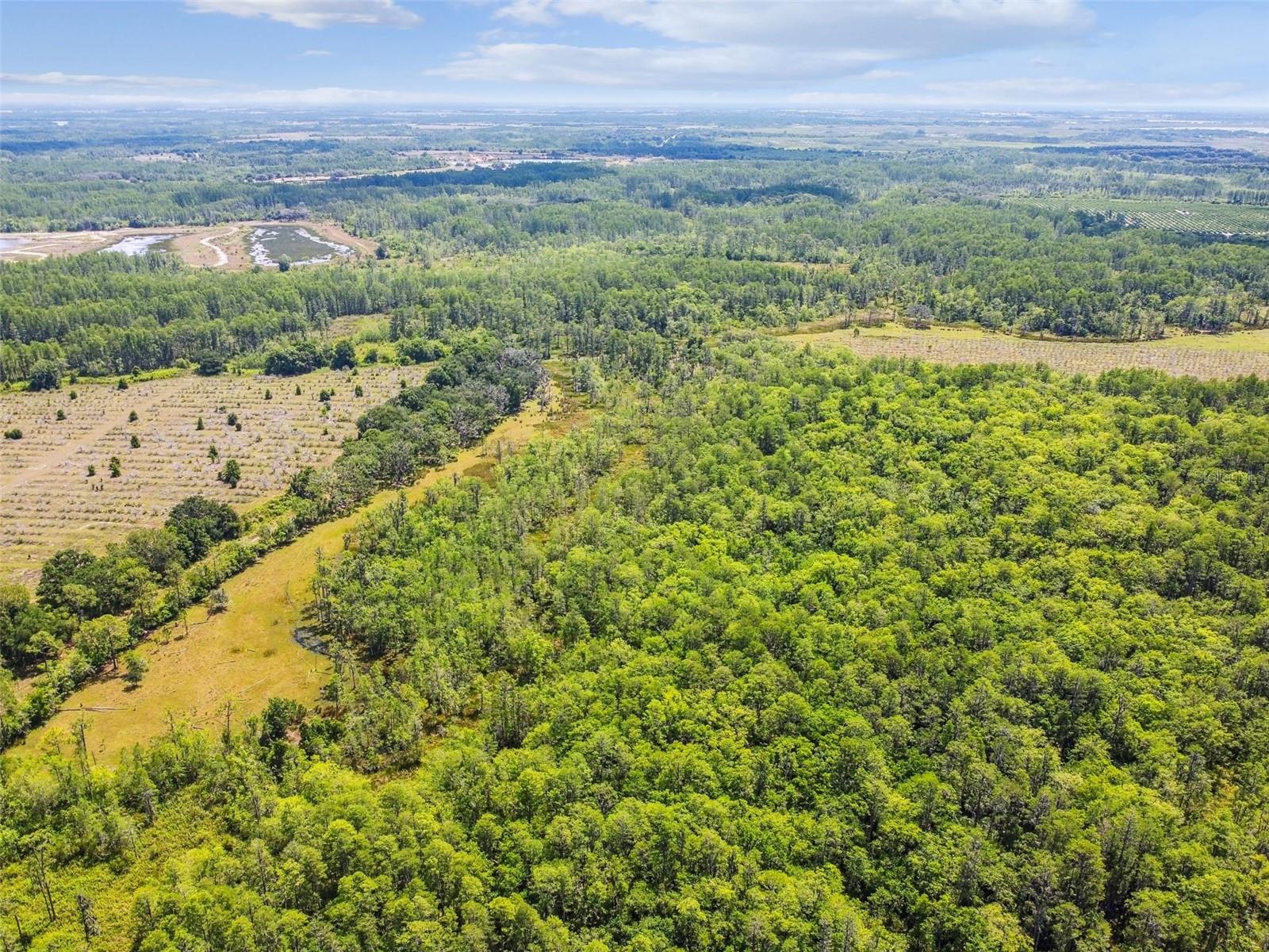 Image 8 of 16 For 0 Hwy 557  